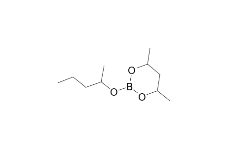 1,3,2-Dioxaborinane, 4,6-dimethyl-2-(1-methylbutoxy)-