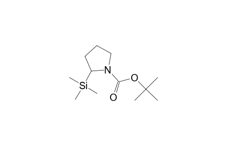 2-trimethylsilyl-1-pyrrolidinecarboxylic acid tert-butyl ester