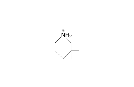 3,3-Dimethyl-piperidinium cation