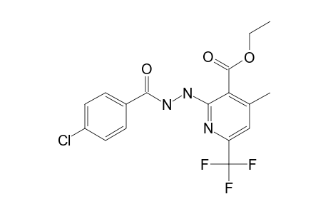 2-[N'-(4-chlorobenzoyl)hydrazino]-4-methyl-6-(trifluoromethyl)nicotinic acid ethyl ester