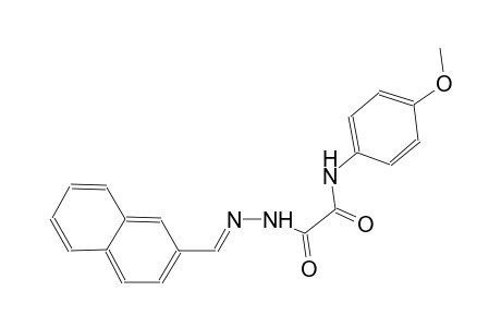 N-(4-methoxyphenyl)-2-[(2E)-2-(2-naphthylmethylene)hydrazino]-2-oxoacetamide