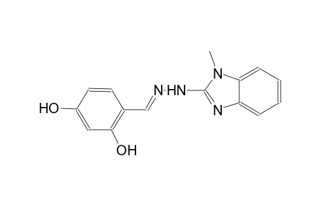 2,4-dihydroxybenzaldehyde (1-methyl-1H-benzimidazol-2-yl)hydrazone