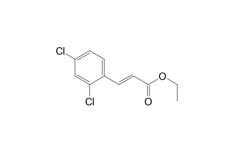 (E)-3-(2,4-dichlorophenyl)-2-propenoic acid ethyl ester