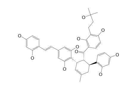 SOROCEIN-M