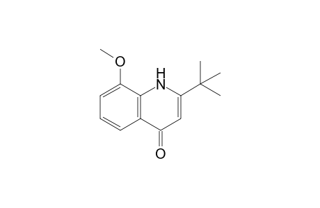 2-tert-Butyl-8-methoxy-1H-quinolin-4-one