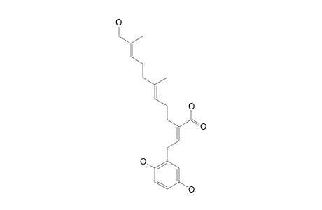 GANOMYCIN-A;2-[2-(2,5-DIHYDROXY-PHENYL)-ETHYLIDEN]-11-HYDROXY-6,10-DIMETHYL-UNDECA-5,9-DIENE-ACID