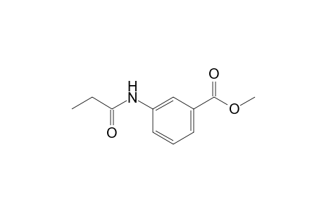 m-propionamidobenzoic acid, methyl ester