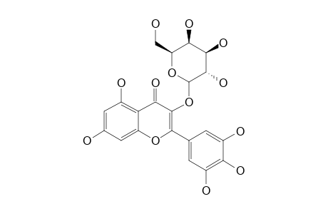 MYRICETIN-3-GALACTOSIDE