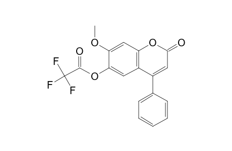 6-Hydroxy-7-methoxy-4-phenylcoumarin, trifluoroacetate