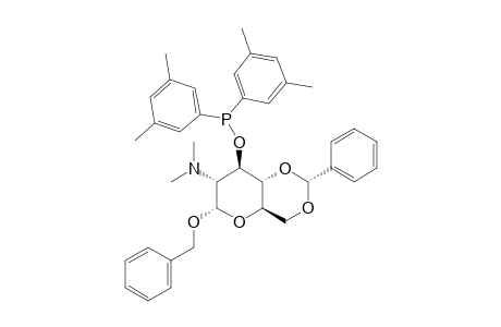 BENZYL-4,6-O-BENZYLIDENE-2-DEOXY-2-(DIMETHYLAMINO)-3-O-(DI-3,5-XYLYLPHOSPPHINO)-ALPHA-D-GLUCOPYRANOSIDE