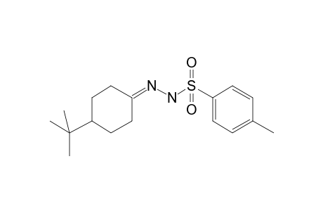 Benzenesulfonic acid, 4-methyl-, [4-(1,1-dimethylethyl)cyclohexylidene]hydrazide