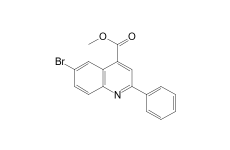6-bromo-2-phenylcinchoninic acid, methyl ester