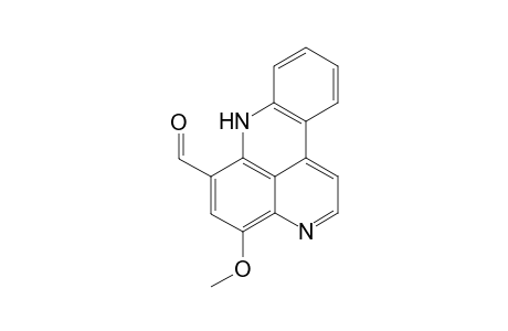 12-Methylstyelsamine C