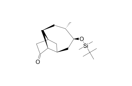 (1S*,3S*,6R*,7S*,9S*,10S*)-10-TERT.-BUTYLDIMETHYLSILOXY-9-METHYLTRICYCLO-[5.4.0.0-(3,7)]-UNDECAN-5-ONE