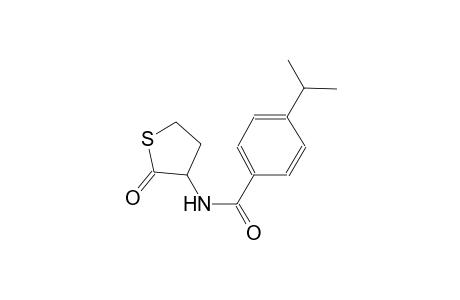 4-isopropyl-N-(2-oxotetrahydro-3-thienyl)benzamide