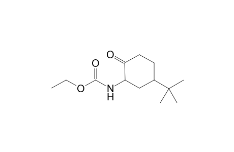 Carbamic acid, [5-(1,1-dimethylethyl)-2-oxcyclohexy]-, ethyl ester