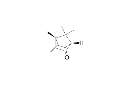 (1S,4R)-4,7,7-trimethyl-3-methylene-2-bicyclo[2.2.1]heptanone