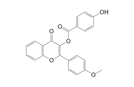 p-hydroxybenzoic acid, ester with 3-hydroxy-4'-methoxyflavone