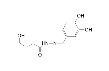 butanoic acid, 4-hydroxy-, 2-[(3,4-dihydroxyphenyl)methylene]hydrazide