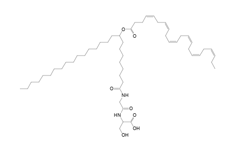 NAGlySer 22:6/26:0