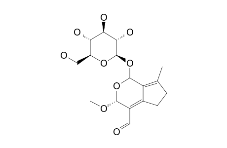 (1S,3R)-(BETA-D-GLUCOPYRANOSYLOXY)-1,3,5,6-TETRAHYDRO-3-METHOXY-7-METHYL-CYCLOPENTA-[C]-PYRAN-4-CARBOXALDEHYDE