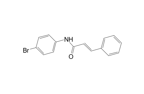 2-Propenamide, N-(4-bromophenyl)-3-phenyl-