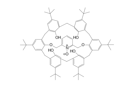 A,D-(1,3-Pyridine)calix[6]-(5-tert-Butyl-2-hydroxybenzene) N-oxide