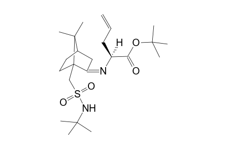 (S)-N-tert-Butyl-{[2-((tert-butyloxycarbonyl)-(allyl)-imino)-7,7-dimethylcyclo[2.2.1]heptyl-1yl]methyl}sulfonamide