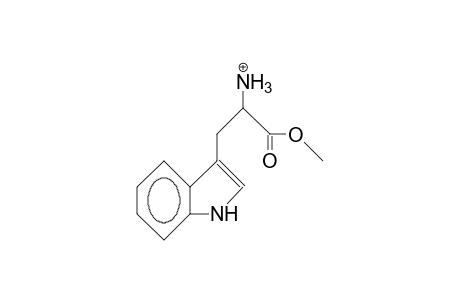 Tryptophan methyl ester cation