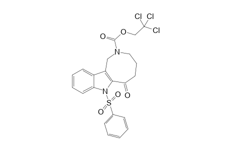 7-Benzenesulfonyl-6-oxo-1,3,4,5,6,7-hexahydro-azocino[4,3-b]indole-2-carboxylic acid 2,2,2-trichloro-ethyl ester