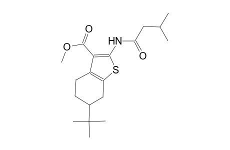 methyl 6-tert-butyl-2-[(3-methylbutanoyl)amino]-4,5,6,7-tetrahydro-1-benzothiophene-3-carboxylate