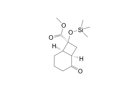 (+-)-Methyl (1R/S,6R,7R/S)-2-Oxo-7-(trimethylsiloxy)bicyclo[4.2.0]octane-7-carboxylate