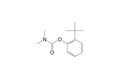 2-TERT.-BUTYL-PHENYL-N,N-DIMETHYLCARBAMATE