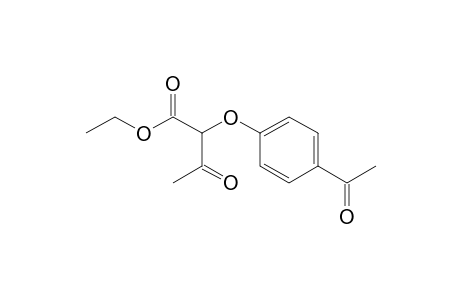 Butanoic acid, 2-(4-acetylphenoxy)-3-oxo-, ethyl ester