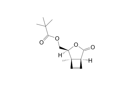 (1S,4S,5R)-5-Methyl-4-pivaloyloxymethyl-3-oxabicyclo[3.2.0]hept-6-en-2-one