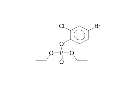 DIETHYL 2-CHLORO-4-BROMOPHENYL PHOSPHATE