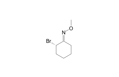 2(E)-BROMOCYCLOHEXANONE-O-METHYL-OXIME