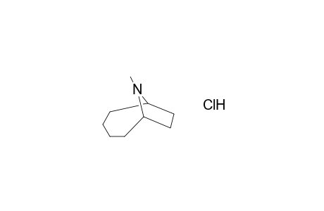9-Azabicyclo[4.2.1]nonane, 9-methyl-, hydrochloride