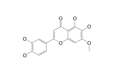 6-HYDROXY-7-METHOXYLUTEOLIN
