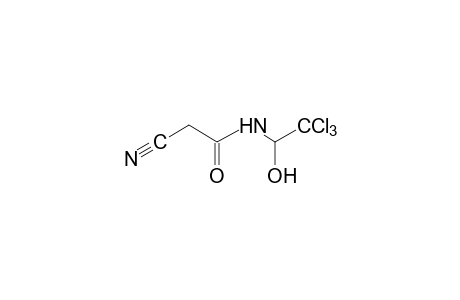 2-cyano-N-(1-hydroxy-2,2,2-trichloroethyl)acetamide