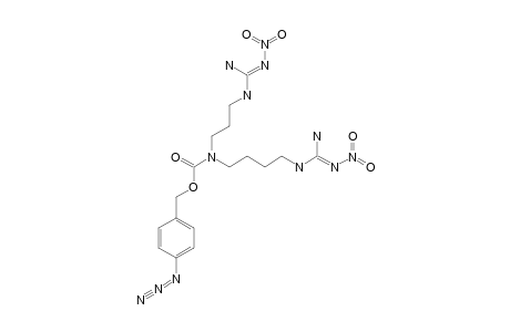 N4-(4-AZIDOBENZYLOXYCARBONYL)-N1,N8-BIS-(NITRO-GUANIDINO)-SPERMIDINE