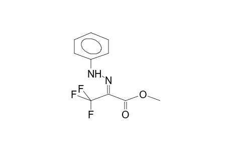 TRIFLUOROPYRUVIC ACID, METHYL ESTER, PHENYLHYDRAZONE