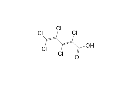 2,3,4,5,5-Pentachloro-2,4-pentadienoic acid