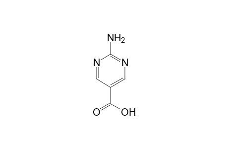 2-Amino-5-pyrimidinecarboxylic acid