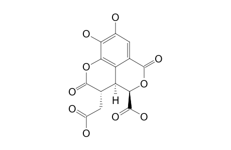 PICRORHIZA-ACID;(3S,3AS,4R)-3-(CARBOXYMETHYL)-2,3,3A,6-TETRAHYDRO-8,9-DIHYDROXY-2,6-DIOXO-4H-PYRANO-[3,4,5-DE]-[1]-BENZOPYRAN-4-CARBOXYLIC-ACID
