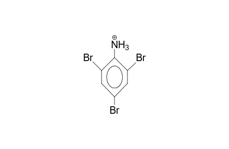 2,4,6-Tribromo-aniline-cation