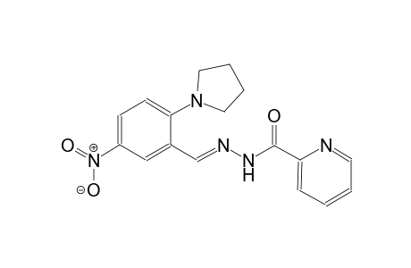 2-pyridinecarboxylic acid, 2-[(E)-[5-nitro-2-(1-pyrrolidinyl)phenyl]methylidene]hydrazide