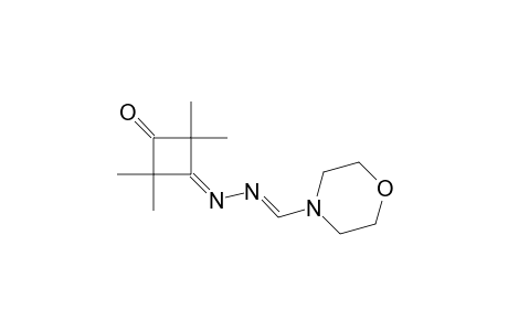 2,2,4,4-tetramethyl-3-[(E)-4-morpholinylmethylidenehydrazinylidene]-1-cyclobutanone