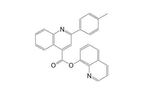 8-quinolinyl 2-(4-methylphenyl)-4-quinolinecarboxylate