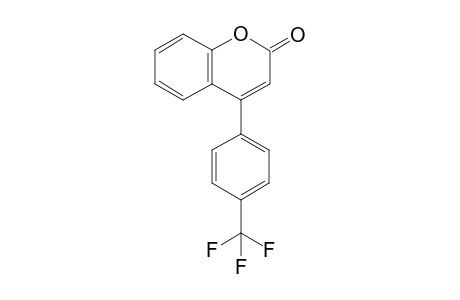 4-(4-Trifluoromethylphenyl)-2H-chromen-2-one